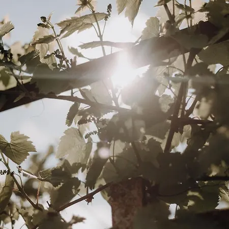 新策勒修道院酒店