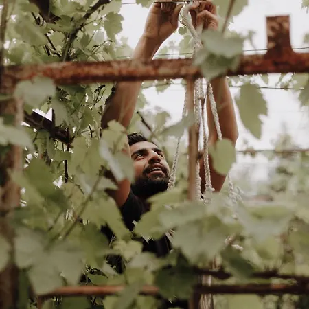 新策勒修道院酒店 酒店 新策勒